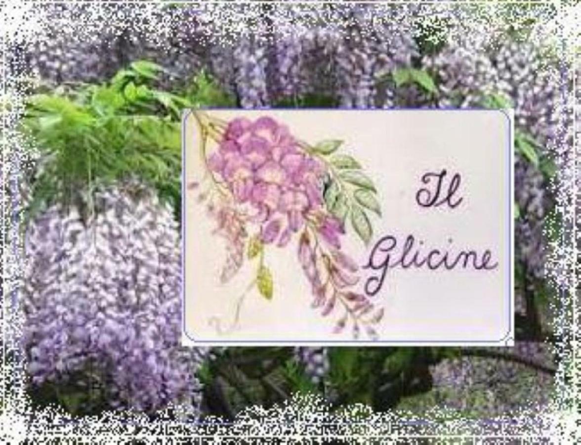 Il Glicine Di Lucca Apartment Exterior foto